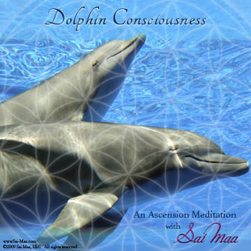 Dolphin Consciousness