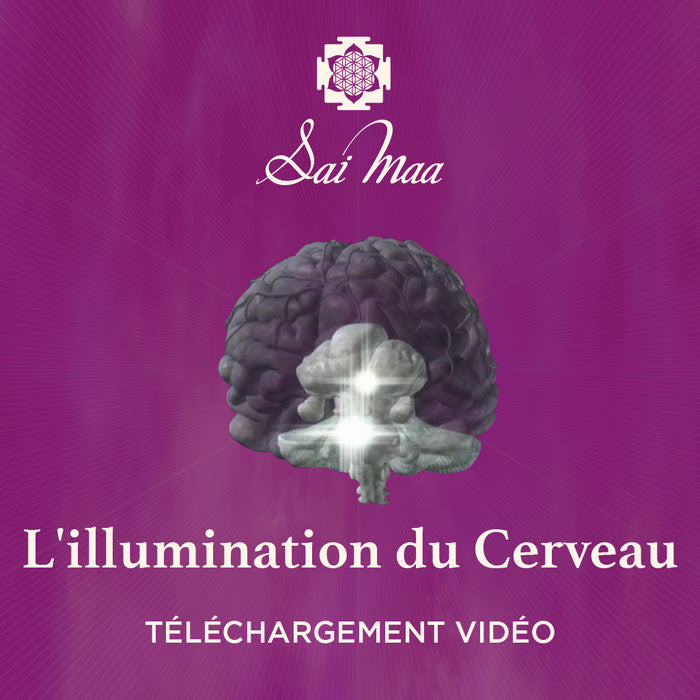 Illumination du Cerveau