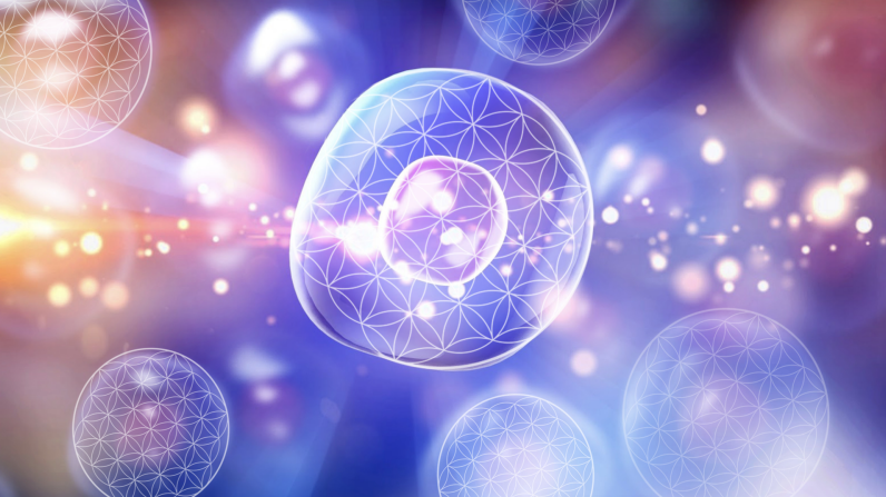 Flower of Life Light Cell Print