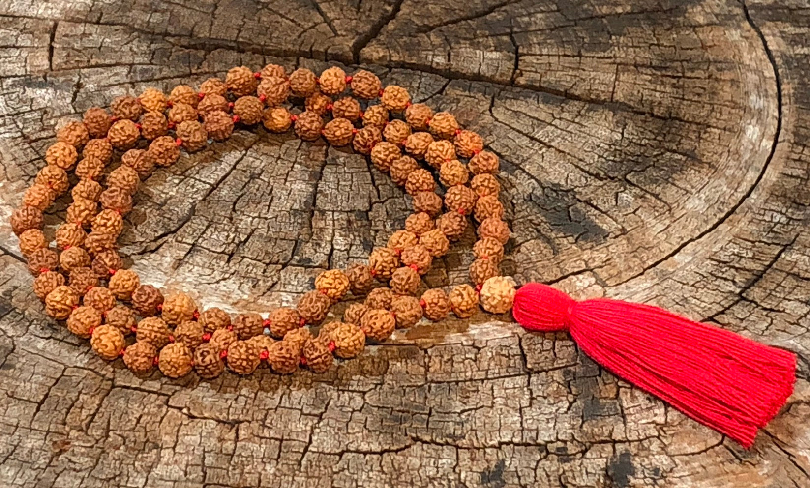 Rudraksha Mala
